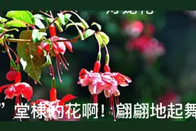 华字：说文解字