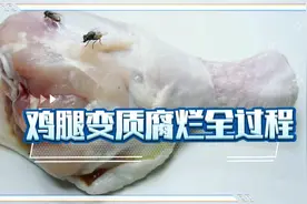 一分钟带你看完鸡腿变质腐烂蛆虫分解全过程视频封面