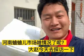 河南蛐蛐市场啥样子？大赵今天去探访一下，市场又开始了热闹视频封面