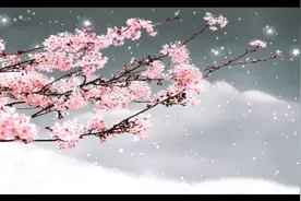 ＜卜算子.咏梅＞作者：毛泽东.朗诵：健民视频封面