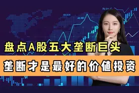 A股市场，垄断才算是最好的价值投资，盘点5大垄断巨头视频封面