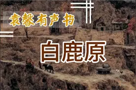 袁馨有声小说《白鹿原》第一集视频封面