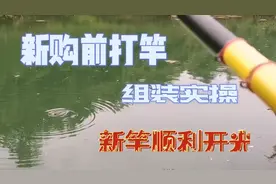 前打竿线轮线组，组装实操，新竿顺利开张上鱼...