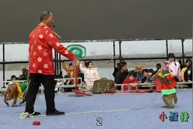 新野猴戏，农村大爷的土味训猴表演。踩高跷、接飞刀、晃板接飞刀