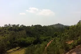 来看看广西农村山区景色，视频中有一处是非法开采稀土留下痕迹视频封面