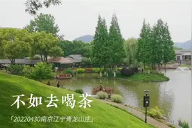 南京江宁青龙山。慢节奏、高颜值的休闲地。视频封面