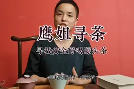 检测普洱茶黄曲霉素，霉菌报告出来了！怼普洱的可以过来看看！视频封面