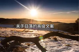 关于日落的高级文案视频封面