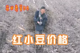 红小豆价格又涨了。照这速度你说能不能到8元／斤！？视频封面