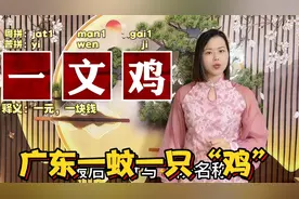 在广东广西：一元为什么叫一蚊鸡？一皮是多少视频封面