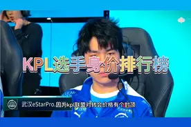 现役kpl选手身价排行榜，花海排名第一，小胖身价翻了百倍