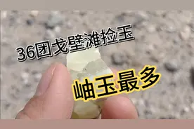 36团戈壁滩盛产岫玉视频封面