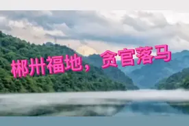 郴州福地，贪官被抓视频封面