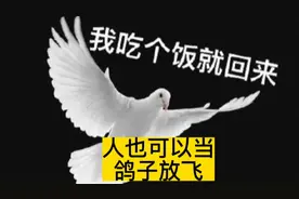 一个人爽约，叫做放鸽子，一个人赴约，做苟且之事，也叫放鸽子。视频封面