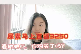 尿素马上直逼3250元，春耕肥料，你购买了吗？视频封面