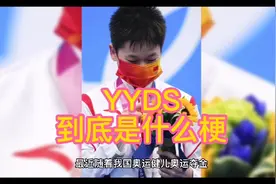 Y Y D S到底是什么意思？