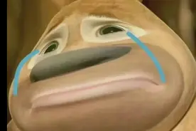 熊二沙雕头像，谁用沙雕😏