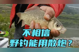 野钓用散炮的学问，理解了，会用了，你不是野钓高手才怪