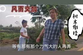 风雨过后，姥姥带孙女出去玩，路上全是吹倒的树木，心有余力不足视频封面