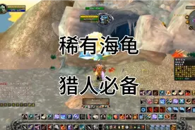 猎人宠物海龟抓取地点分享