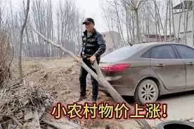 小农村物价蹭蹭的往上涨，小谢没事就往家里囤柴火，过日子好男人视频封面