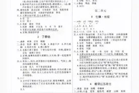 六年级语文上册练习册答案