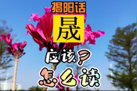 揭阳话“晟”应该怎么读#我要上热门#揭阳话#潮汕话#潮州话#方言