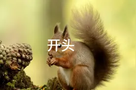 小竹传开头视频封面