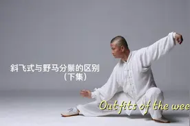 斜飞式与野马分鬃的区别到底在哪呢？（下集），看完这个视频哦