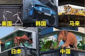 不同国家的裸眼3D，美国很有特色，中国太逼真了！视频封面