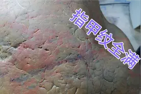 整块石头都是指甲纹，切开里面红红的，我感觉应该是木化石