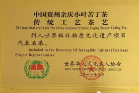 绿色金子余庆苦丁茶，世界茶王之千年贡品