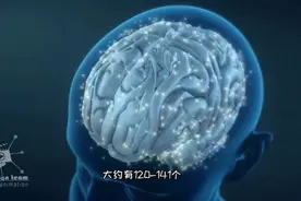 最优秀的生物机器，大脑的结构和功能，3D演示。。视频封面