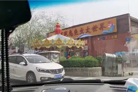 #抖音打卡地  #济南  西环花鸟虫市场视频封面