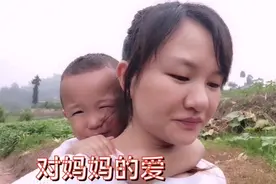 单亲母子俩去地里，三岁孩子的举动让人感动，真是妈妈的小情人视频封面