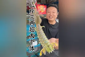 我第一次见到一斤三两的超大泰国富贵虾！视频封面