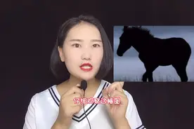 你觉得马🐴头朝向哪里看看你的智商有多高