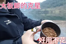 谁说大板鲫难钓，蚯蚓沾一点土方子，大鲫鱼抢着吃还不花一分钱！