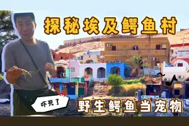 非洲人开始富起来了？这个村子家家户户养鳄鱼，是学迪拜的吗？