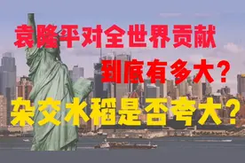 袁隆平对全世界贡献多大？为什么说杂交水稻难吃，成就是否夸大？