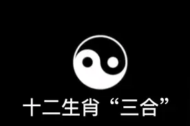 十二生肖“三合”猪兔羊、虎马狗、蛇鸡牛、猴鼠龙