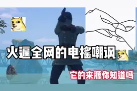 火遍全网的电摇嘲讽你知道它的来源吗？视频封面
