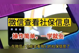 手机微信能查看社保信息了，操作简单，学会了不用去社保局查了视频封面