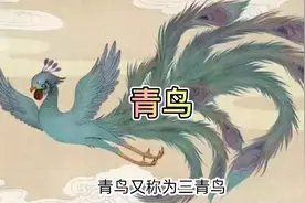 上古神兽，青鸟，西王母的信使，现实中居然长这样？