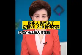 数字货币来了，它和VX  ZFB有何不同？#数字人民币#科普知识#支付