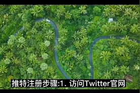 小蓝鸟推特 Twitter 创建不了账户解决啦安卓苹果教程，#推特注册视频封面
