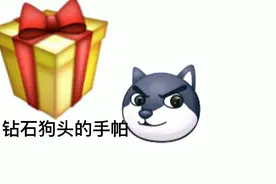 青狗1:青狗为什么又来追我