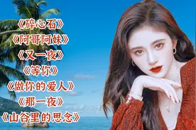 谢军经典《做你的爱人》《那一夜》《山谷里的思念》《碎心石》