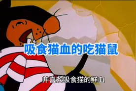 体型巨大尾巴还能释放毒气并专门以猫为食的食猫鼠，还敢招惹鳄鱼视频封面