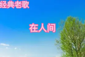 经典老歌《在人间》视频封面